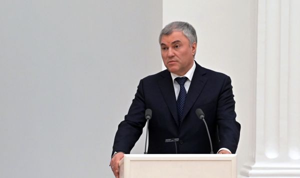 Спикер Госдумы Вячеслав Володин