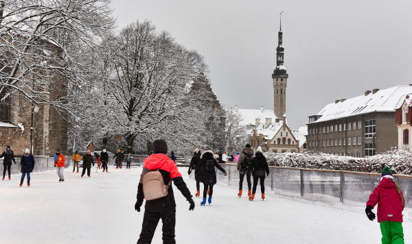 Каток на горке Харью, Таллин