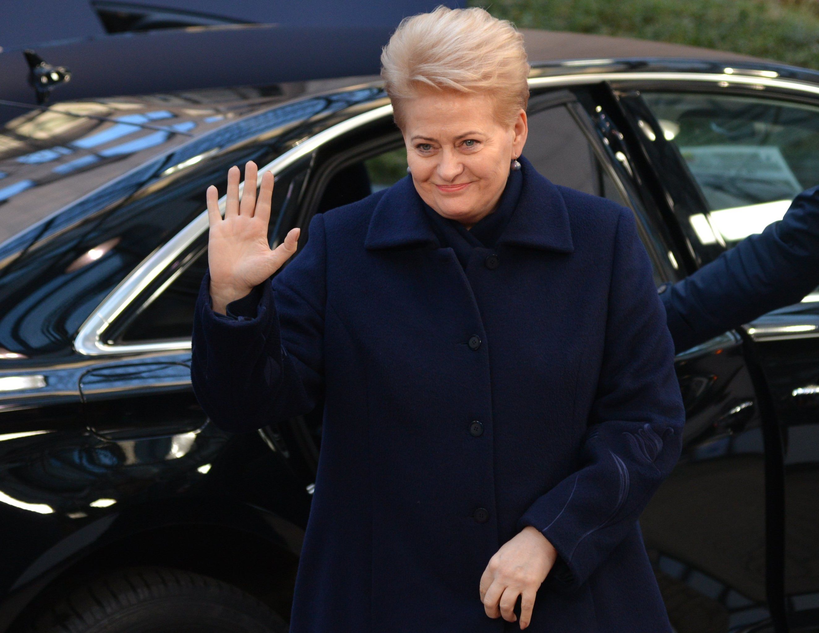 Президент Литвы Даля Грибаускайте Президент Литвы Даля Грибаускайте