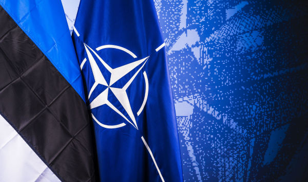 Флаги НАТО и Эстонии Флаги НАТО и Эстонии