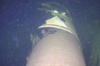 Повреждения газопровода Balticconnector