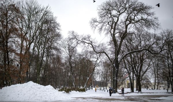 Парк в Вильнюсе, Литва