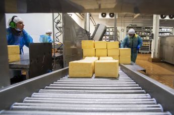 Предприятие по переработке молока в Крыму