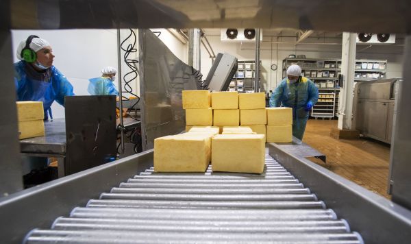 Предприятие по переработке молока в Крыму