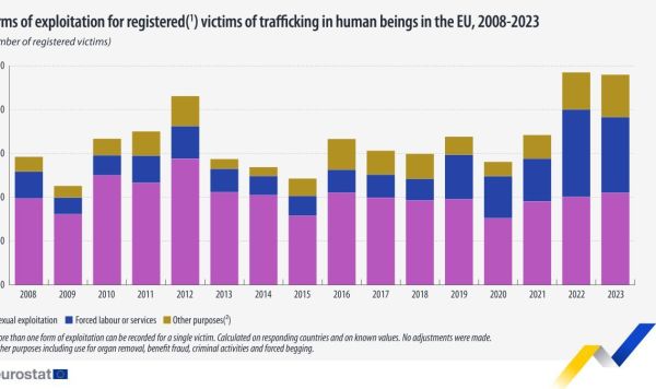 Формы эксплуатации жертв работорговли в Евросоюзе, 2008 – 2023 гг. Формы эксплуатации жертв работорговли в Евросоюзе, 2008 – 2023 гг.