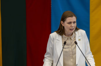 Министр обороны Литвы Довиле Шакалене в Сейме представляет проект закона о выходе из конвенции, запрещающий использование и производство противопехотных мин