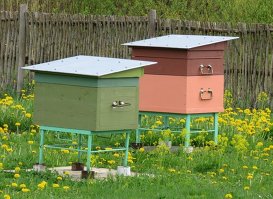 Пчелиные ульи.